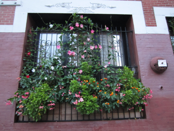 window