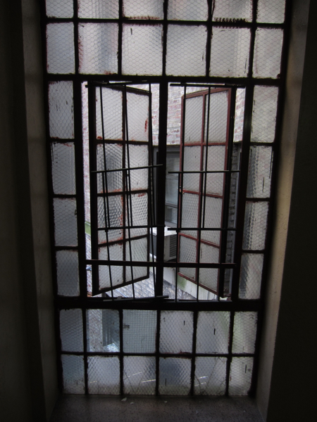 window