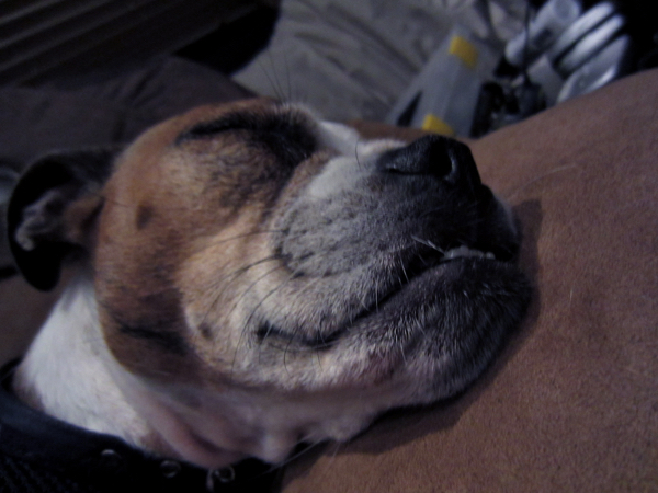 asleep