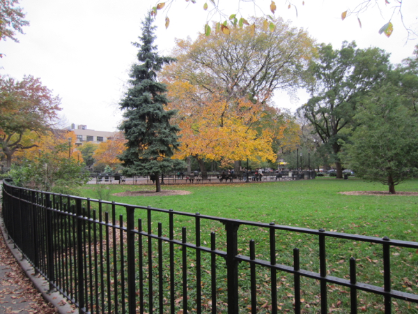 park