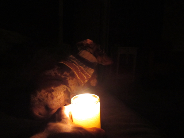 candles