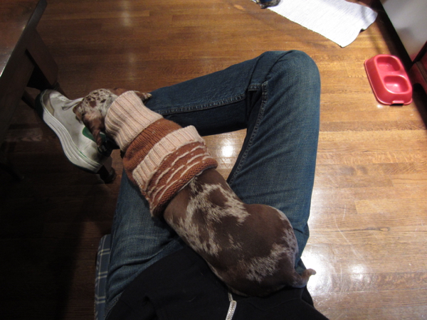 asleep