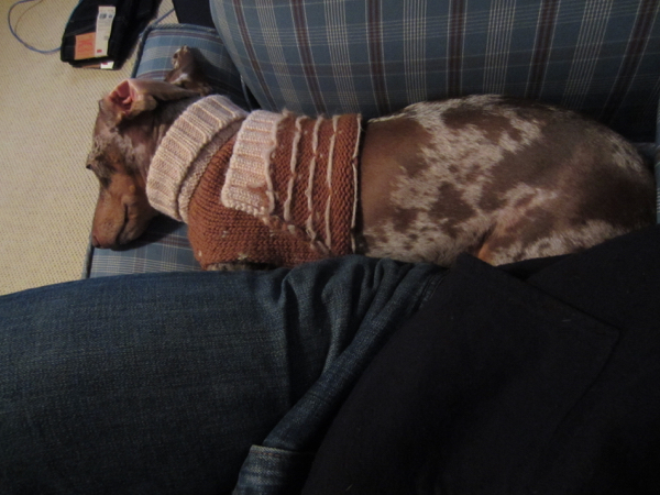 asleep