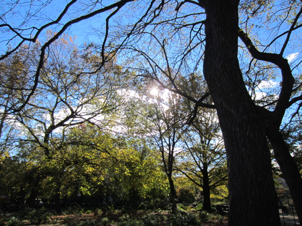 park