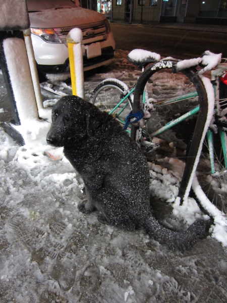 snow