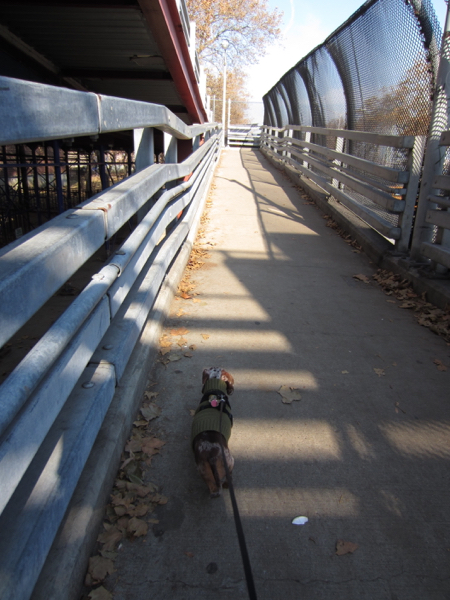 east river park
