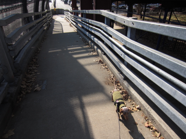 east river park