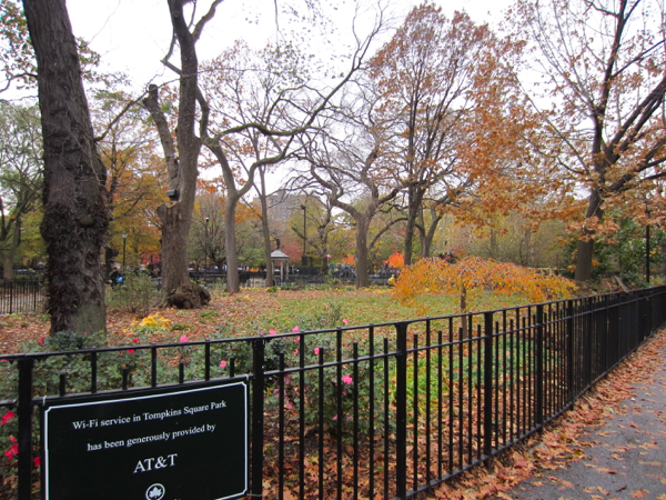 fall