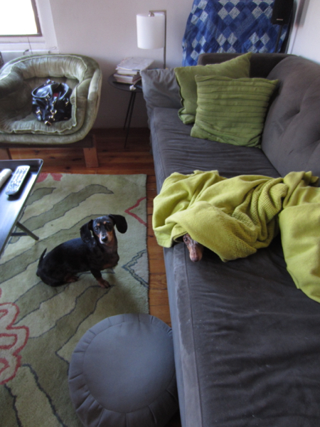 couch