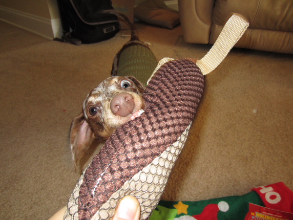 bite