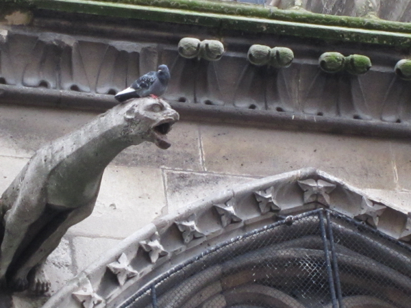 gargoyle