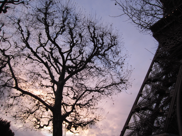 twilight