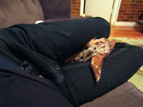 cuddle