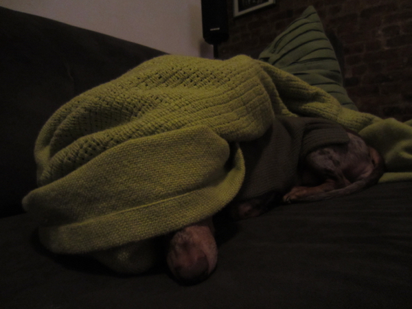 asleep