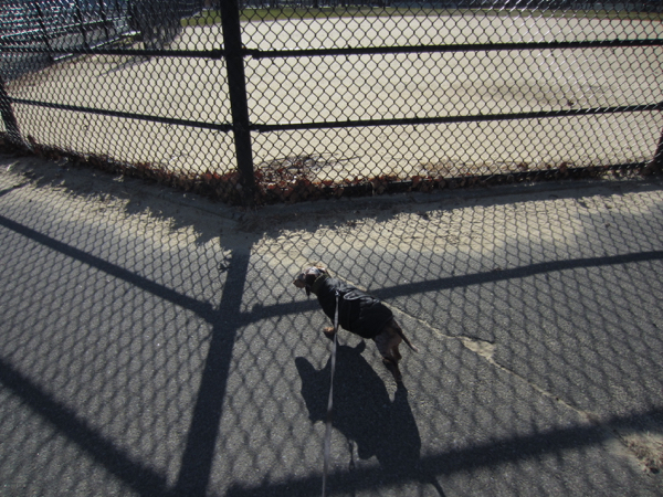 shadow