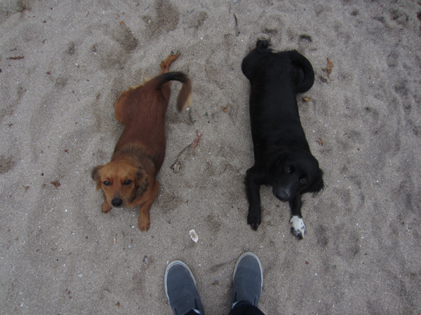 beach