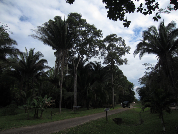 walking