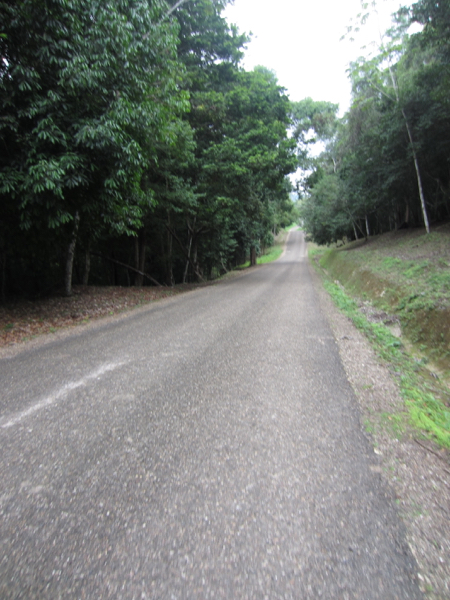 walking