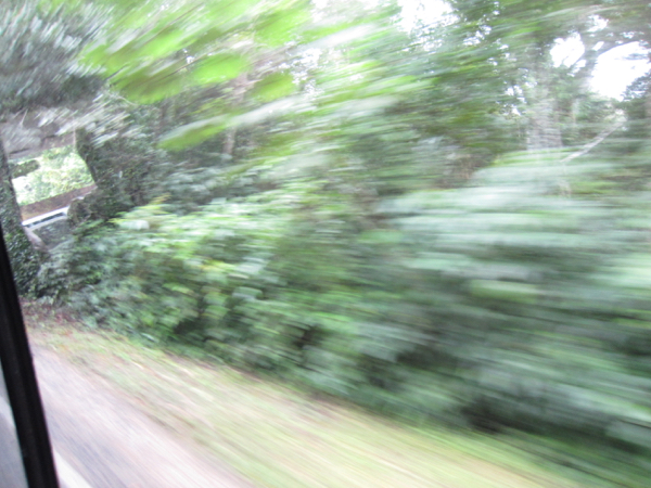 driving