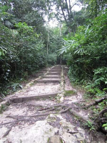 path