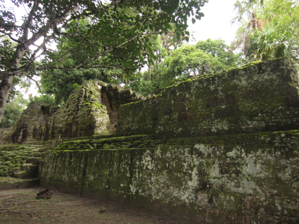 mayan