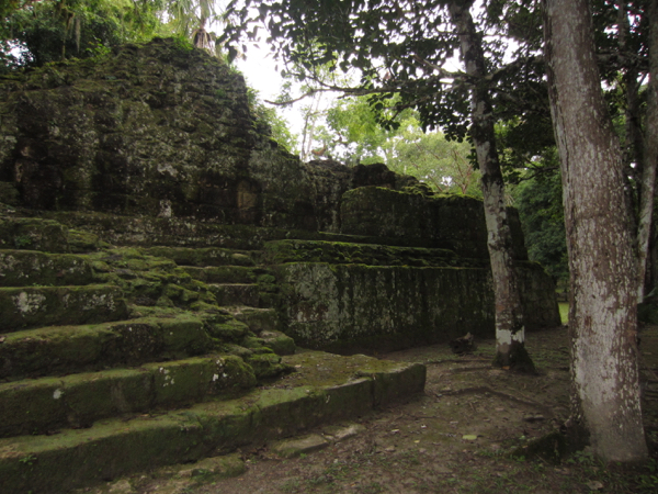 mayan