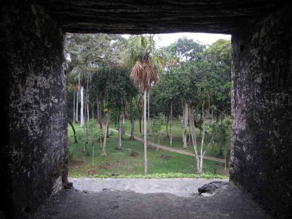 window
