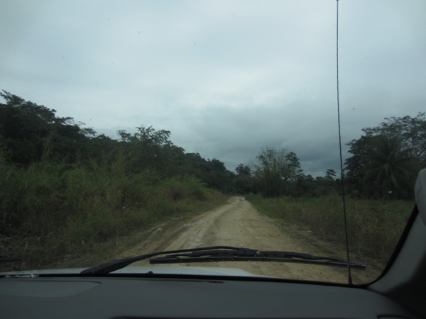 driving
