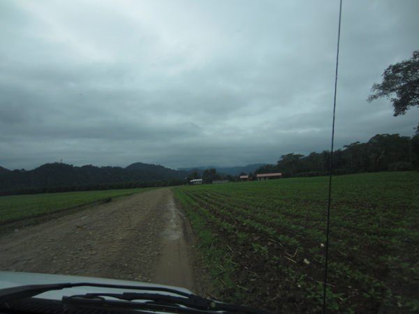 driving