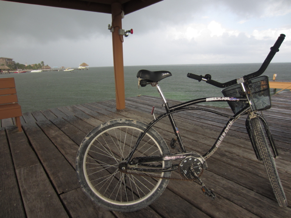 bike