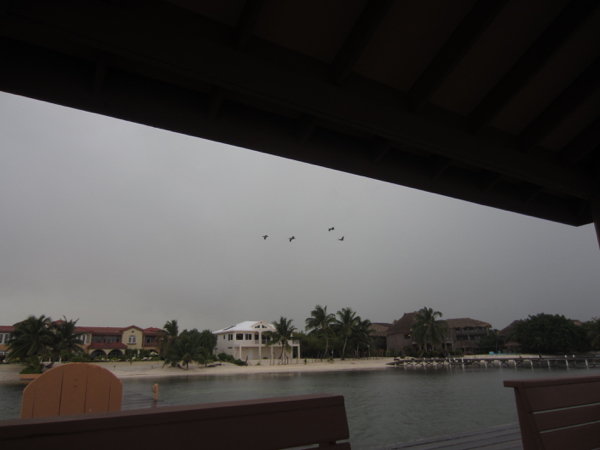 rain