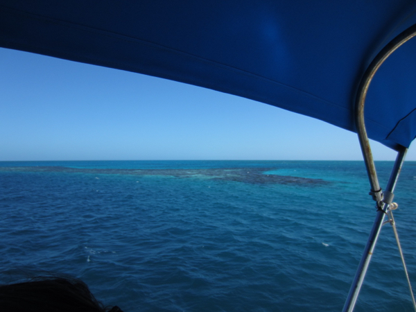 diving boat
