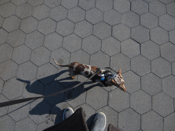 walking