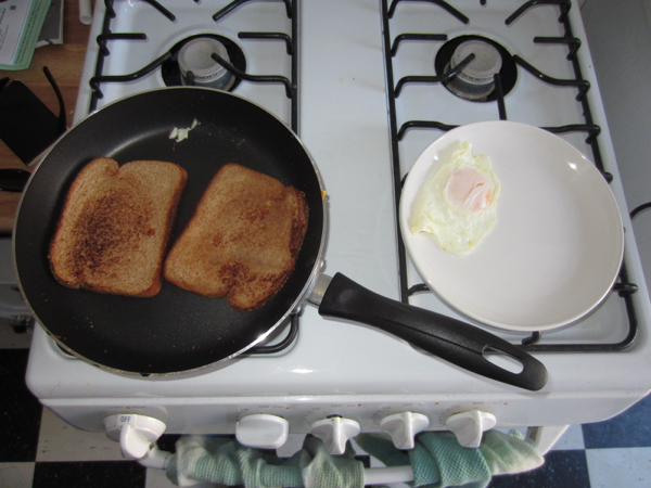 egg
