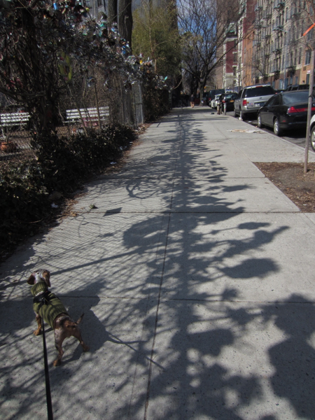 shadow