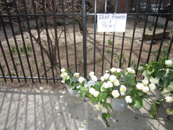 flower