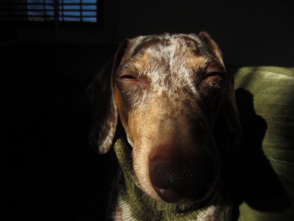 sleepy