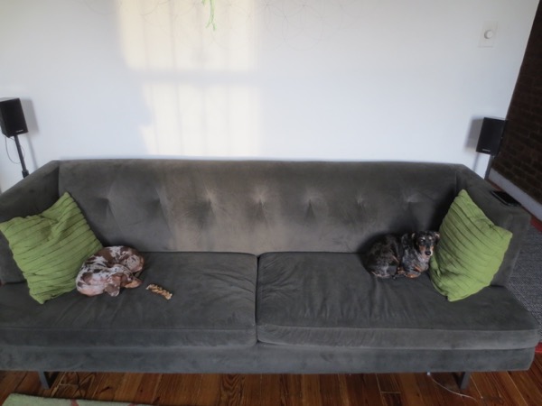 couch