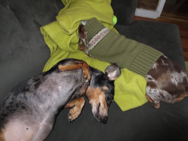 couch