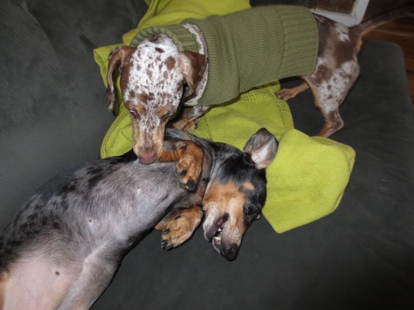 couch