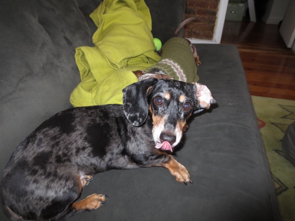 couch
