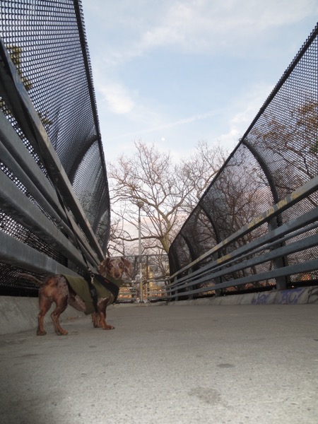 east river park