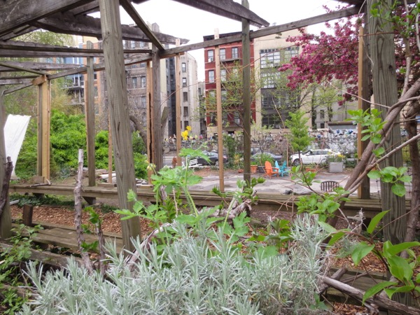 garden