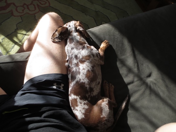 asleep