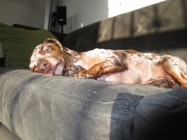 asleep