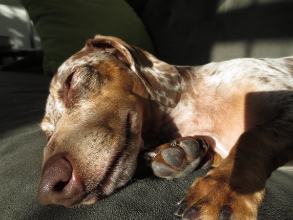asleep