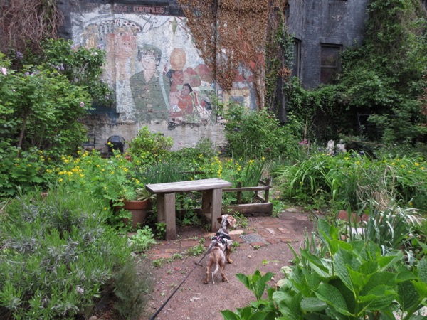 garden