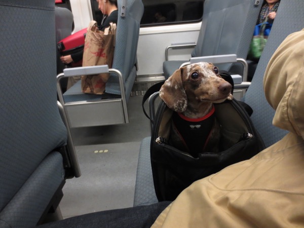 train
