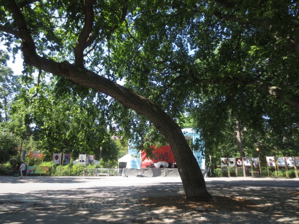tree