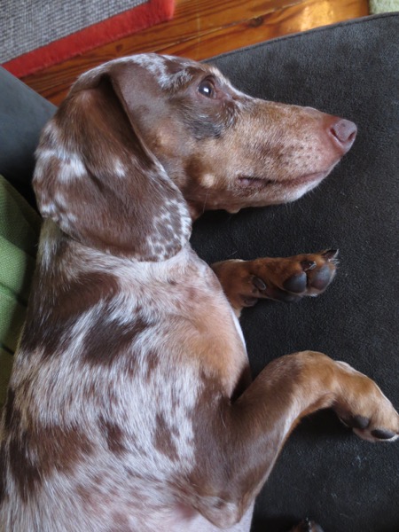 maddy